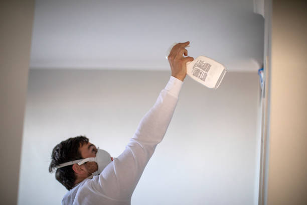 Professional Mold Removal in Malverne, NY